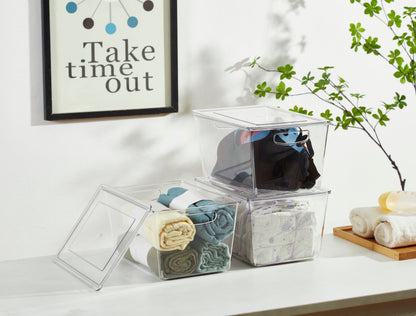 Clear Refrigerator Organizer Bins with Lids (6-Pack) - product image 10